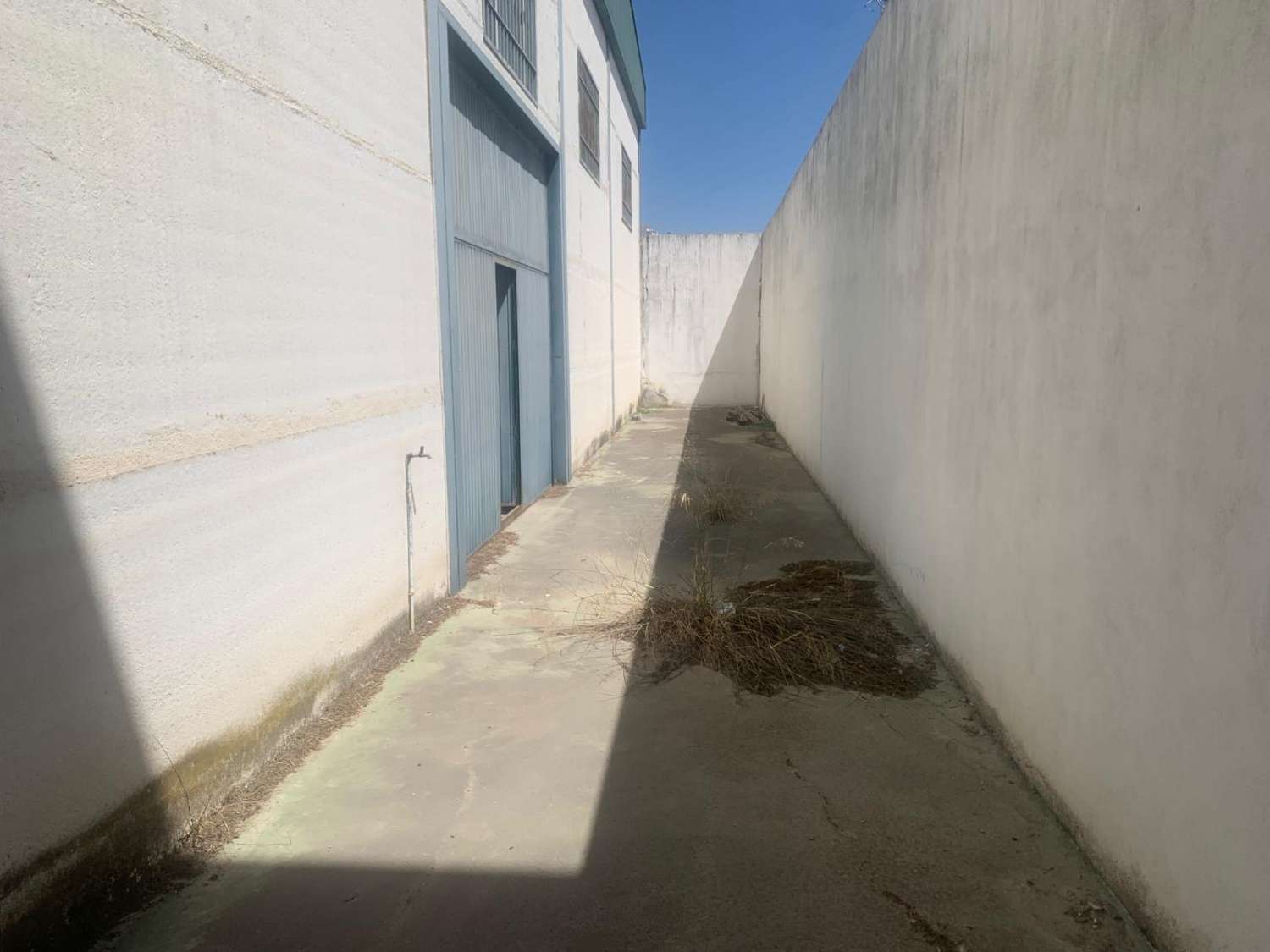 Industrial for sale in Arjona